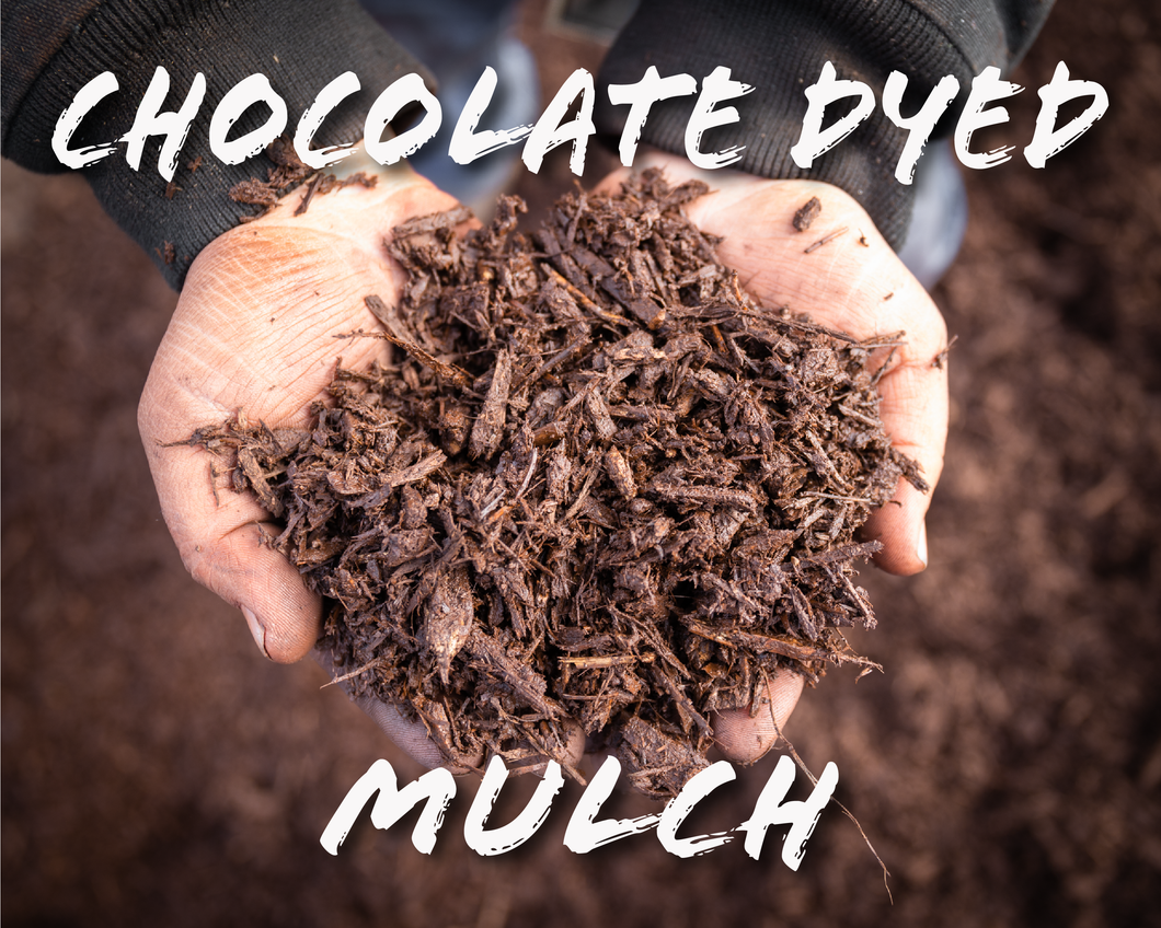 Chocolate Dyed Mulch