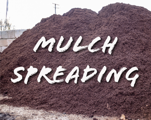 Mulch Spreading Minimum 6yrds (With Mulch Purchase)